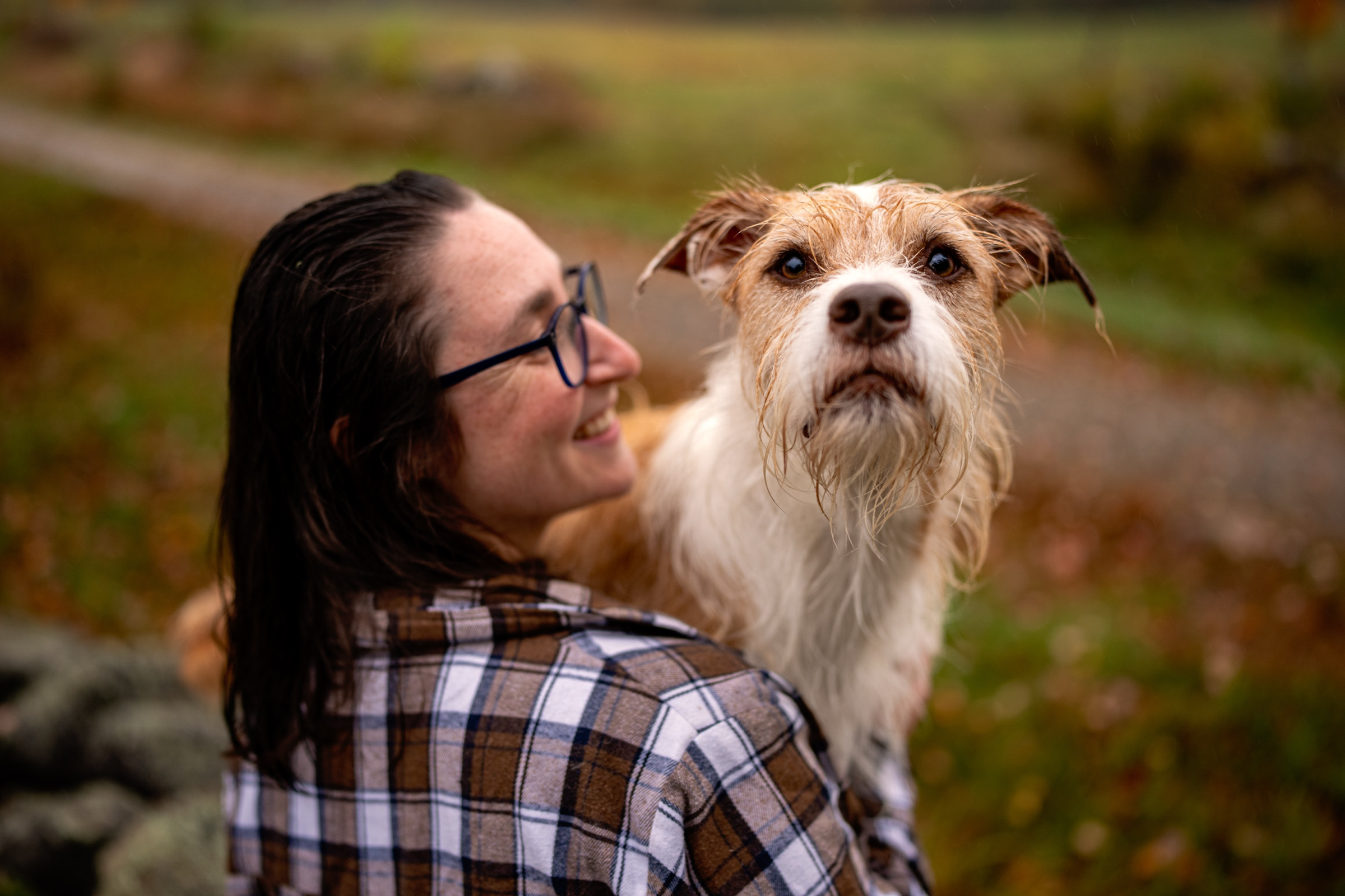 Autumn pet portrait in fall foliage