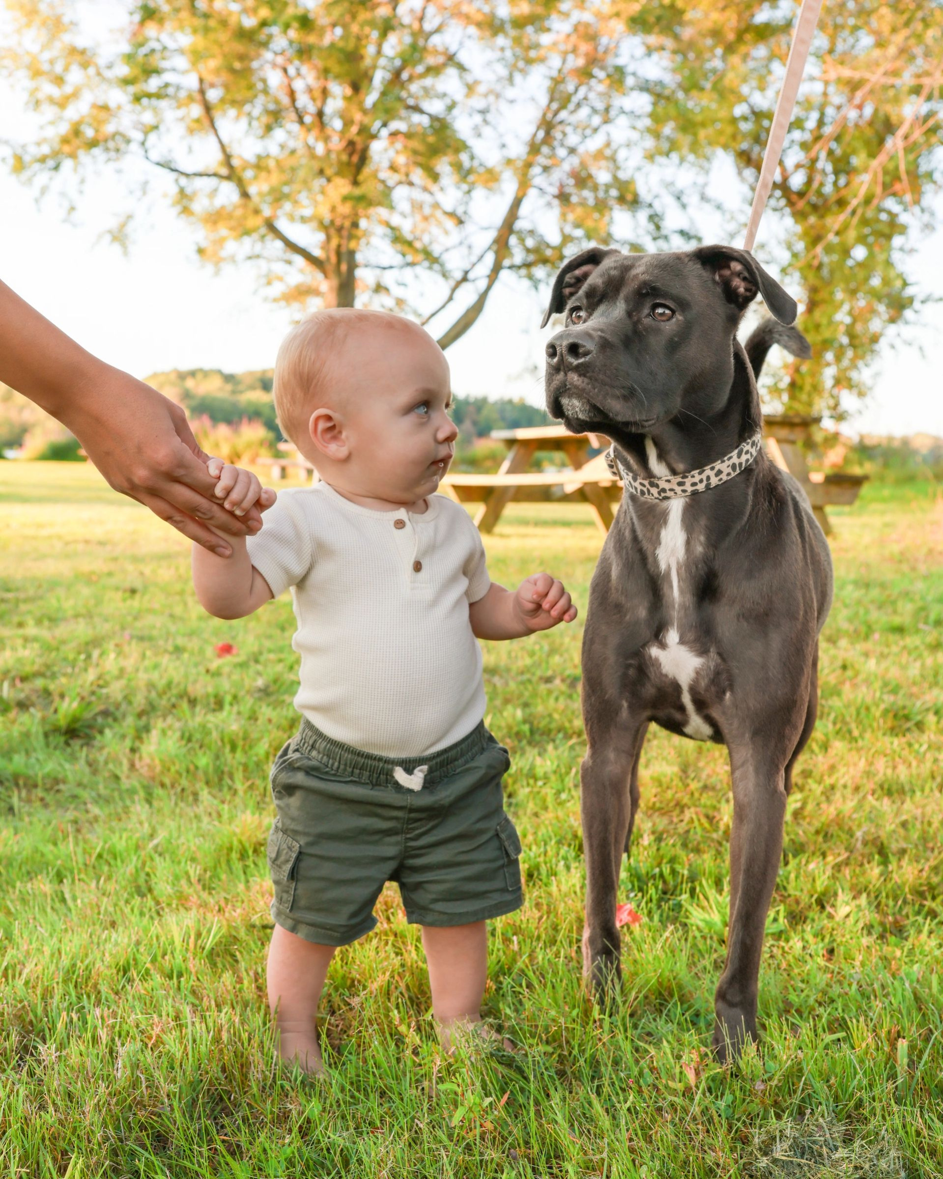 Pet and owner portrait showing their bond
