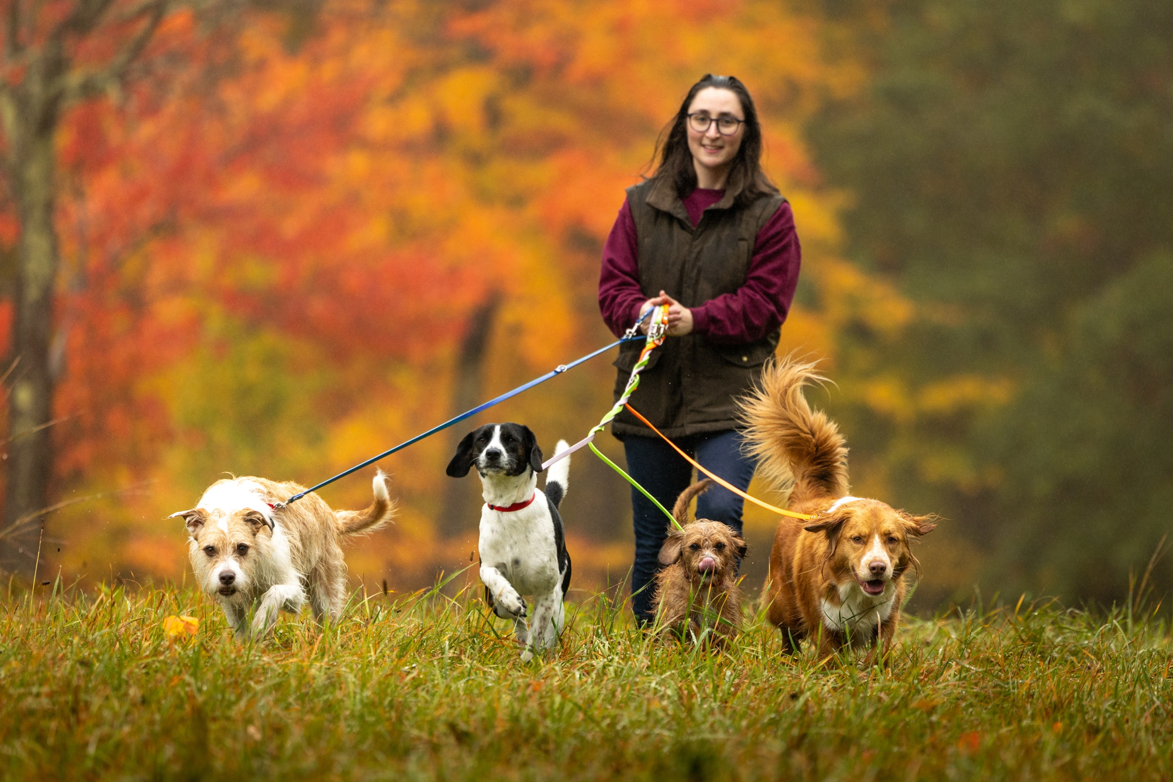 Cydney Sloan with Darwin, Finch, Daisy, and Jane, pet portrait by Breen Photo