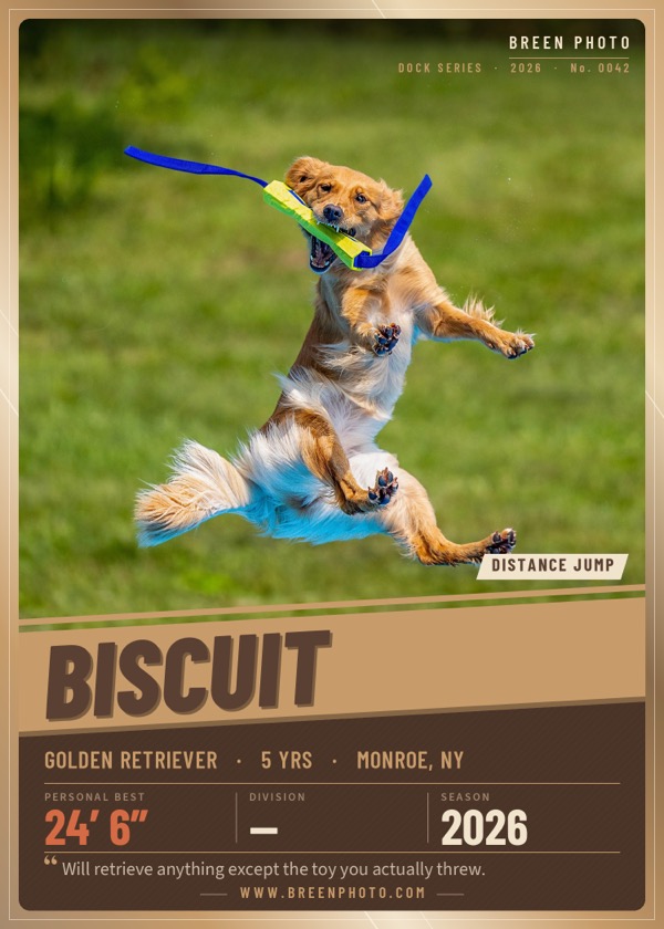 Example dock-diving Athlete Card